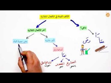 مراجعات عين  الالف اللينة في الافعال الثلاثية