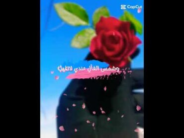 ولي أمل بربي لا يخيب 🤗💕 حالات واتس اب جهادية //حالات واتس اسلامية جهادية 😍🌹