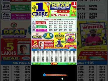 Lottery sambad live 1:00pm 16/11/24 Morning Nagaland state dear lottery Result pdf Download