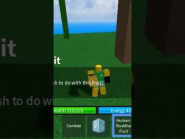 هذا الي يصير لما تبي تشتري فاكهة لواحد نوب blox fruit