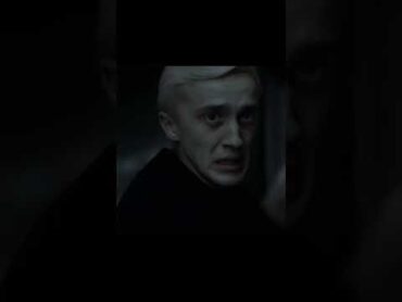 Draco and Severus  They had beautiful bond  Someone wrote this song before  Charms of Hogwarts