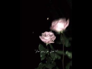 لو بص بعيني مره بس  بدون موسيقى بالكلمات بدون موسيقى سيرين عبد النور