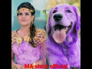 ❤❤Baal veer return all pari dress match dog❤❤beautiful status ytshorts Ma short official