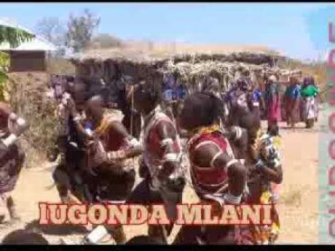 LUGONDA MLANI UJUMBE WA MABHUNDU 13/11/2024 Official Music