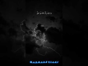 من روائع القران الكريم ♥ من اروع التلاوات القرانية 💜 وترى الارض هامده 🖤💙