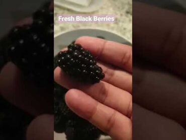 Amazing Fresh Black Berries shorts blackberries