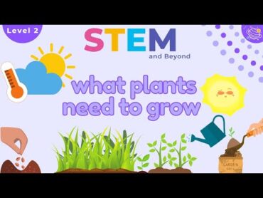 What Plants Need To Grow  KS1 Science Year 2 STEM Summer Camp