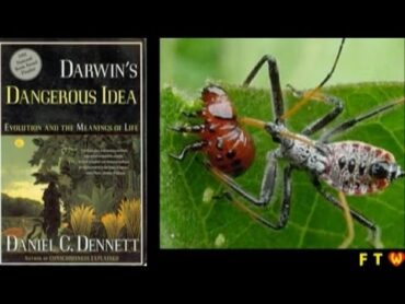 Darwin&39;s Dangerous Idea: A Book Review