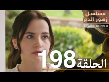 الحلقة 198  مسلسل زهور الدم  مدبلج بالعربية  Kan Çiçekleri