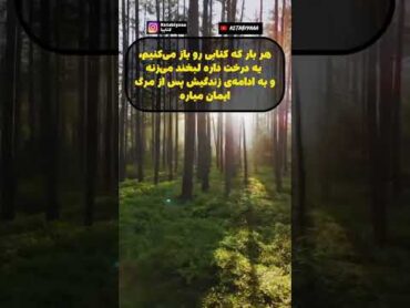 هر بار که یه کتابی رو باز میکنیم😍  معرفی کتاب  کتابیا