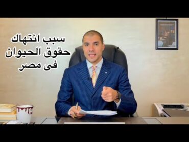 قانون بالعربى  سبب انتهاك حقوق الحيوان فى مصر