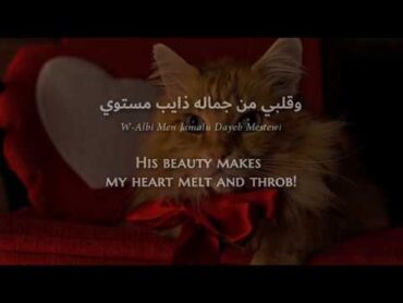 Nancy Ajram  Sheik ElShabaB (Lebanese Arabic) Lyrics + Translation  نانسي عجرم  شيخ الشباب