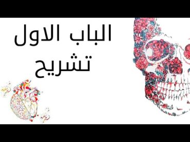 اولي تمريض الباب الأول تشريح .