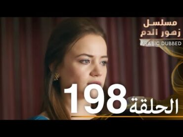 الحلقة 198  مسلسل زهور الدم  مدبلج بالعربية  Kan Çiçekleri