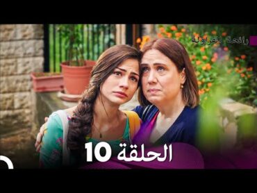 رائحة الفراولة الحلقة 10 (Arabic Dubbed)  FULL HD