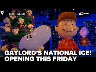 ICE! at Gaylord features &39;A Charlie Brown Christmas&39; crafted by 37 Harbin artisans