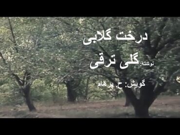 ( H. Parham  با صدای) داستان درخت گلابی از کتاب جایی دیگر   نوشتۀ گلی ترقی