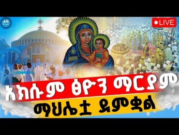 ኅዳር ጽዮን ማርያም🔴ልዩ ማኅሌት  ‼️ቀጥታ ስርጭት ♦️ደብረ ምጥማቅ ሰዓሊተ ምህረት 📍በሎዛ ሚዲያ