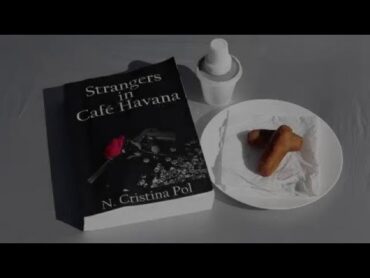 Strangers in Cafe Havana  Book Trailer HD