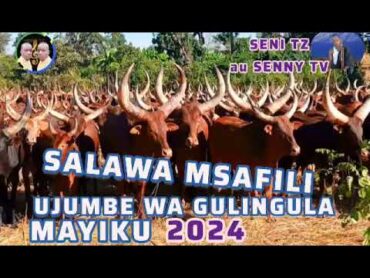 SALAWA MSAFILI UJUMBE WA GULINGULA MAYIKU 2024 MBASHA STUDIO SENI LUCHAGULA TV MSAMBAZAJI AU SENI TZ