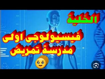 شرح فيسيولوجى اولى مدرسة تمريض  شرح تشريح اولى مدرسة تمريض  شرح درس الخلية  physiology