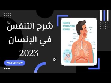 شرح درس التنفس في الكائنات الحية  التنفس في الانسان احياء 2 ثانوي 2023