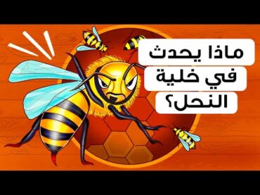 ماذا سترى لو ذهبت في جولة داخل خلية النحل؟