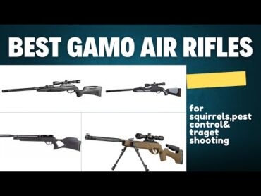 5 Best Gamo Air Rifles 2024