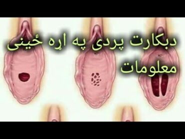 دبکارت پردى په اړه ځينى مهم معلومات