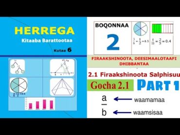 Herrega kutaa 6ffaa Boqonnaa 2 part 1