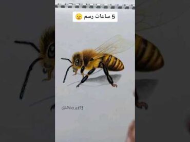 اتحداكم مش هتصدقوا ان دا رسم حقيقي شوفوا رسوماتي ثلاثية الأبعاد art drawing رسم