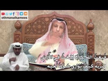 317  (فَبَعَثَ اللَّهُ غُرَابًا يَبْحَثُ فِي الْأَرْضِ لِيُرِيَهُ كَيفَ يُوَارِي...)  عثمان الخميس