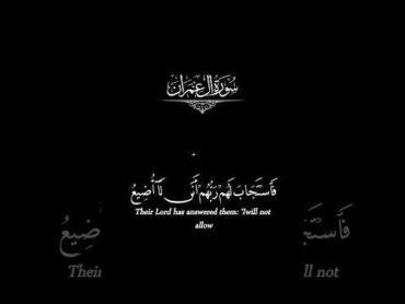 فاستجاب لهم ربهم اني لا اضيع عمل عامل   شاشة سوداء   ماهر المعيقلي   كرومات قرآن كرومات قرآن