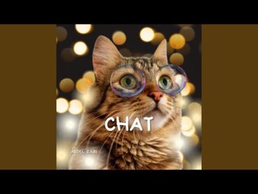 Chat