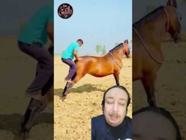 أغرب طريقة لركوب الحصان ... كيف هذا ؟