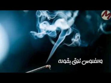 حلات حسن شاكوش. كلو قش وخيش وقله