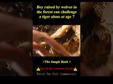 Boy Abandoned in Forest Raised by Wolves and a Panther, Challenges Tiger Alone at Age 8 shorts 2/3