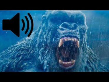 Kong with Different King Kong Roars