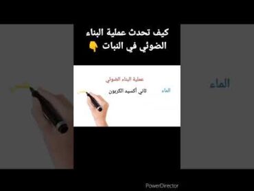 كيفية حدوث عملية البناء الضوئي short