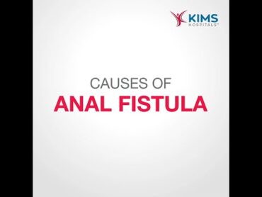 Causes an anal fistula