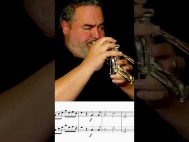 🍏Trumpet or 🍰Tuba??? queenofthenight tuba trumpet comparison magicflute