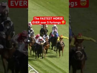 THE FASTEST HORSE EVER OVER FIVE FURLONGS 😮🚀 horse epsomdowns horserace horseracing