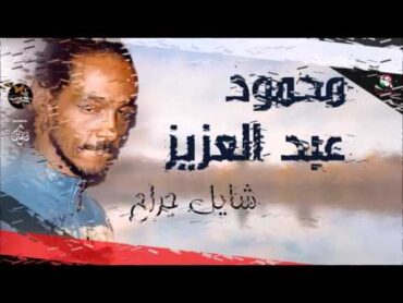 محمود عبد العزيز    شايل جراح / mahmoud abdel aziz,