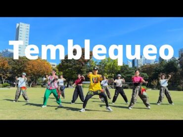 ZIN Volume 113  Temblequeo  ReggaetonSalsa / Zumba