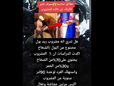 حقيقة عن مشروب الريد بول