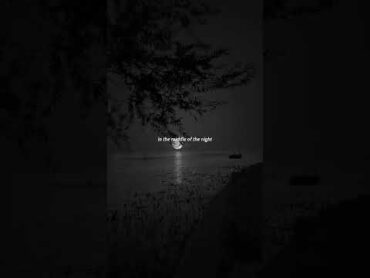 MIDDLE OF THE NIGHT  Elley Duhé (Lyrics)  Aesthetic elleyduhe middleofthenight