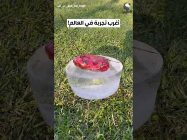 أغرب تجربة في العالم  إسقاط نار البركان على الجليد shorts