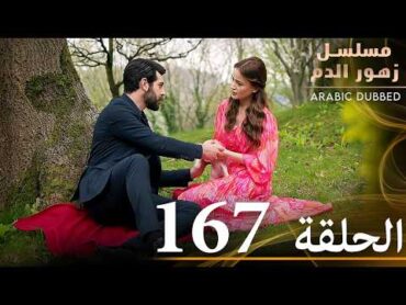 الحلقة 167  مسلسل زهور الدم  مدبلج بالعربية  Kan Çiçekleri