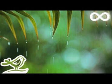 Relaxing Music & Rain Sounds  Beautiful Piano Music, Background Music, Sleep Music • You & Me