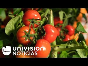 ¿Salsa de tomate o kétchup? La receta secreta la guarda un latino